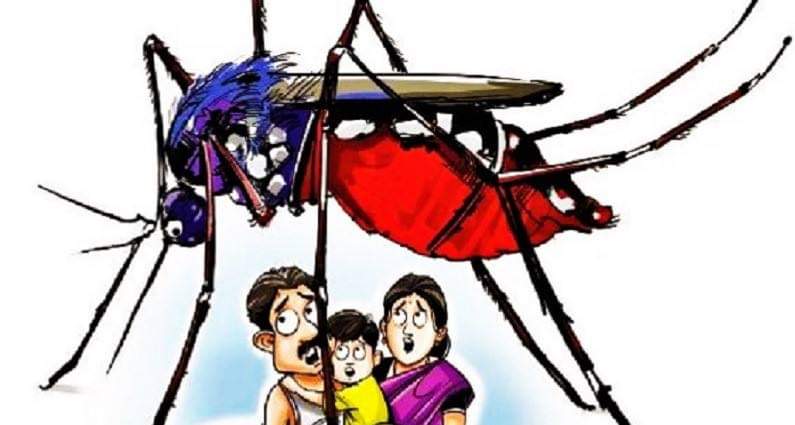 "डेङ्गु" रोग फैलुनुको कारण  जनमानसमा ज्ञानको कमी