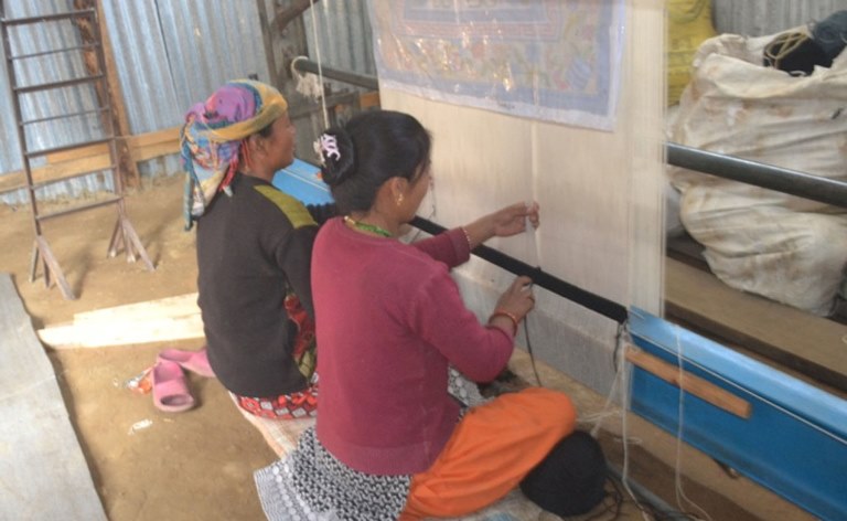 वैदेशिक रोजगारी रोक्न गाउँमै गलैँचा बुनाइ   