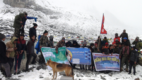 सिंगर तालमै महोत्सव