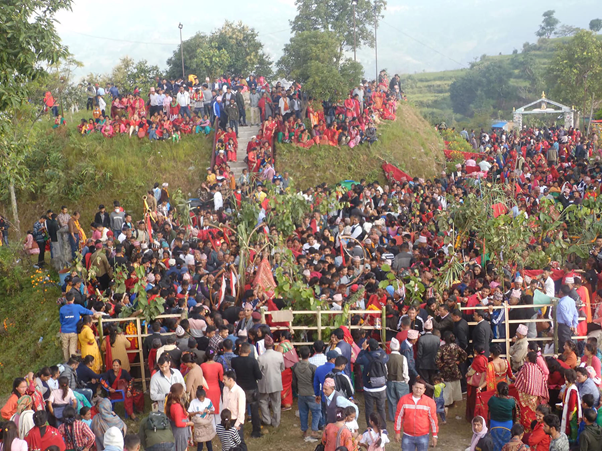 थानीमाई मन्दिरमा फूलको डोली भित्र्याउन भीड