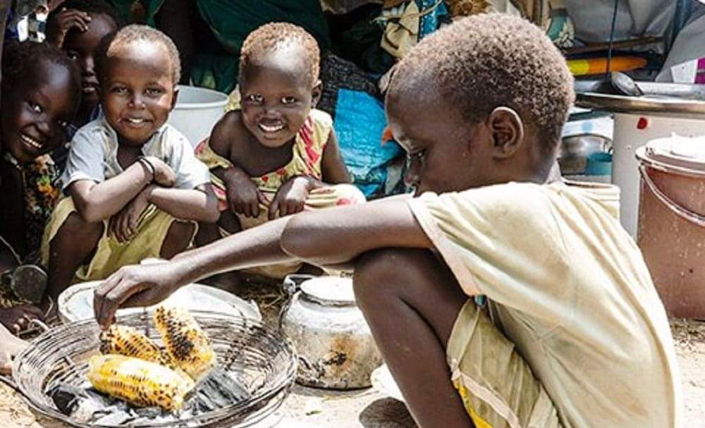 अफ्रिकामा खाद्य सुरक्षा बढाउन आह्वान